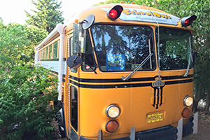 promenade en bus de collection