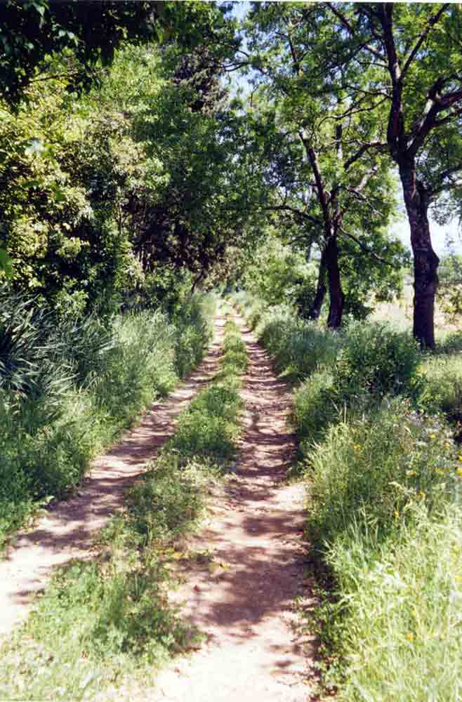 La grande Lauzade, chambre d'hôtes, Provence