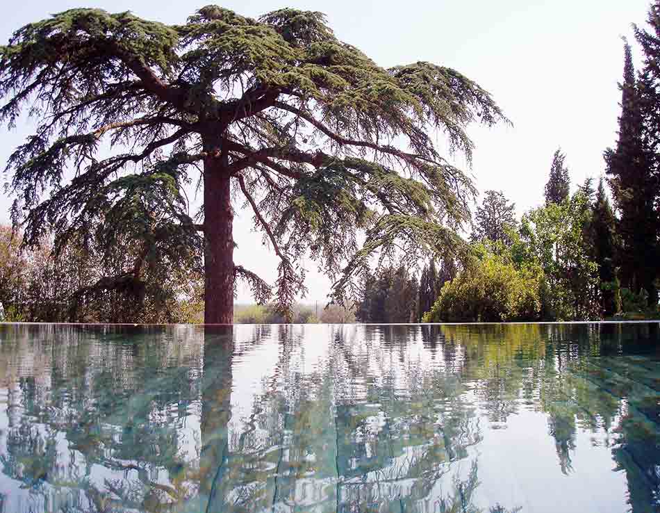 platanes soleil piscine chambre et gites en Provence