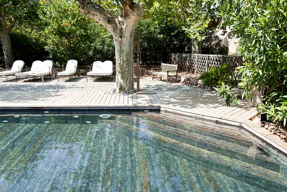 piscine naturelle en chambre d'hote dans le sud